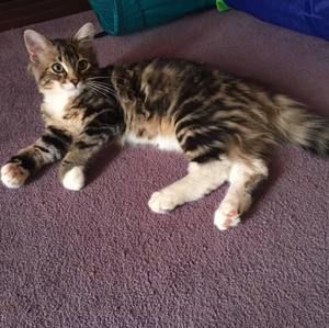 Meet your Posher, Danny